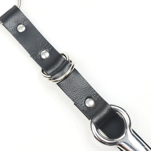 Leash Hook Collar and Kinky with EverydayUse 5853 Anal 0808